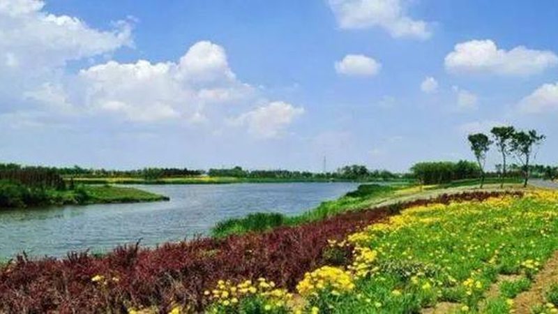 家庭農(nóng)場主必備：種植技術(shù)培訓(xùn)課程全解析**