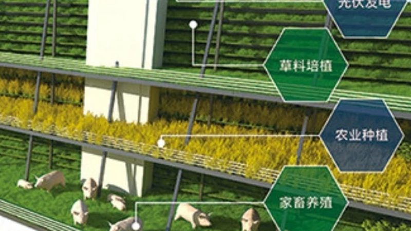 手推式播種機：農(nóng)業(yè)播種的得力助手，價格幾何？**