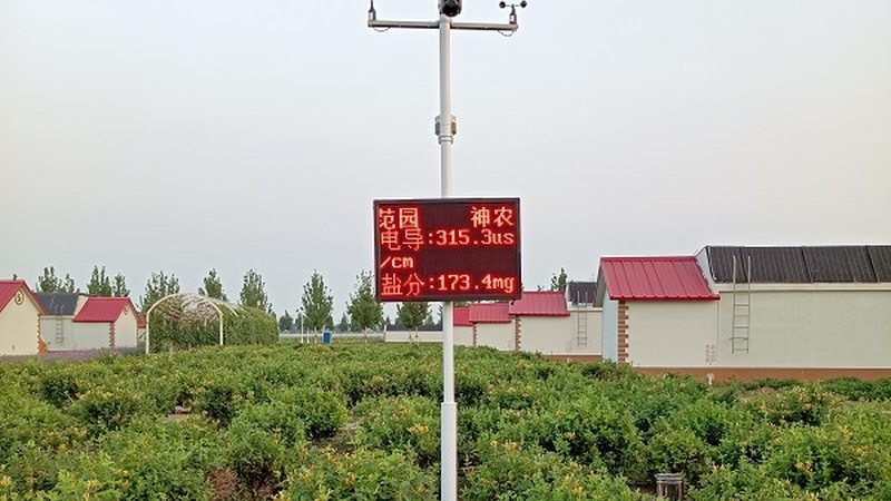 農(nóng)產(chǎn)品配送成本核算：如何精準(zhǔn)把控每一分錢