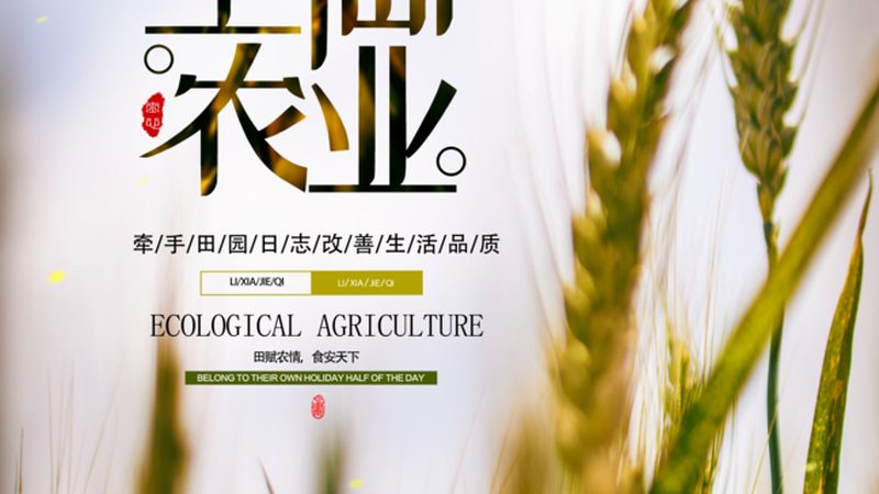 綠色食品認證標準：了解與查詢指南